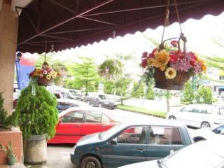 Rose Taman Perling *